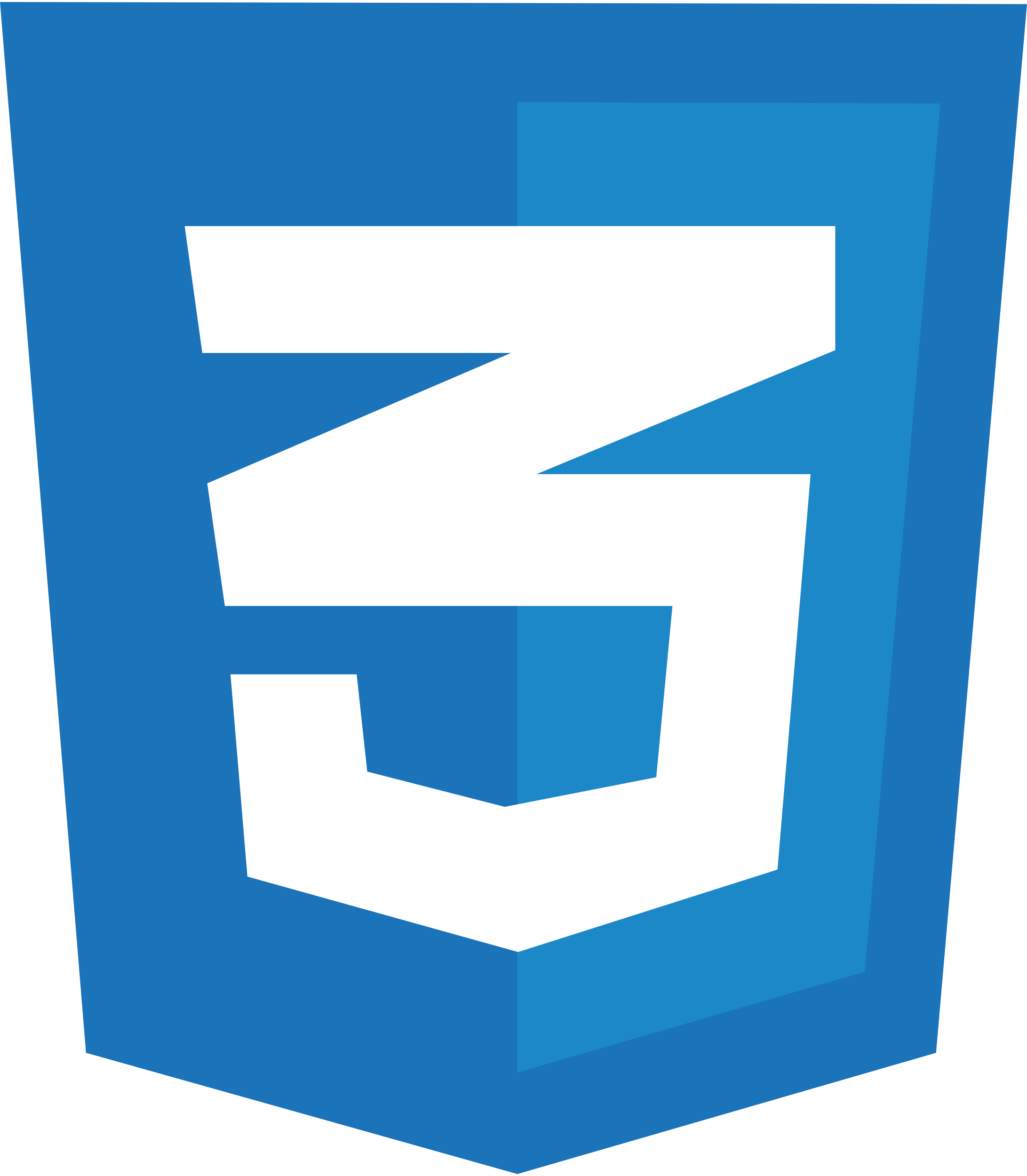 /css.png